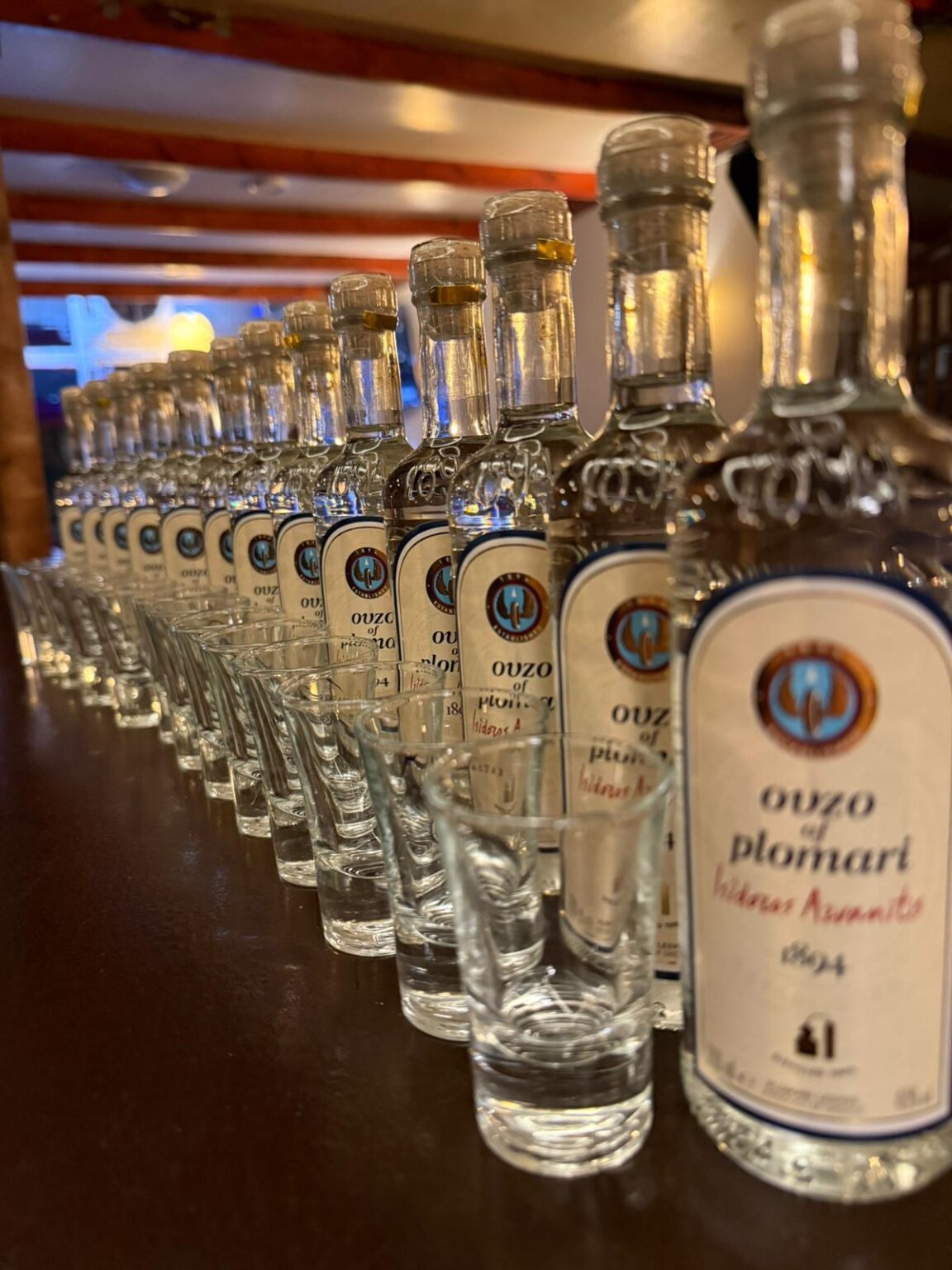 WhatsApp Image 2026-02-17 at 00.20.fa01